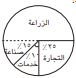 دوائر